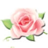 RR (152) (100x100, 15Kb)