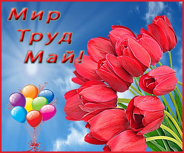 Мир труд май наливай картинки