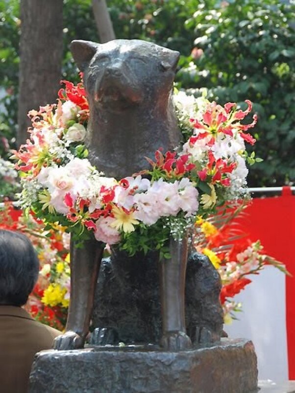 Хатико статуя в японии на станции сибуя