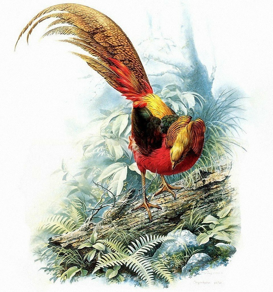 Zeng Xiao Lian птицы